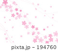 桜舞う