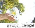 緑はだいじなもの