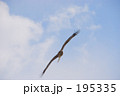 正面