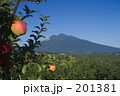 りんごと岩木山