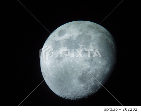 月(月齢11) 月(月齢11)