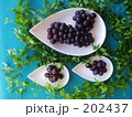 フレッシュグレープ