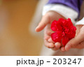 母の日7