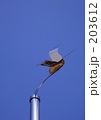 Iron Bird