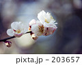 春の陽射しの中で