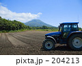 嶽きみ畑