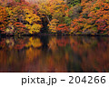 白神山地 十二湖