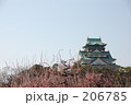 Osaka Castle &amp; ume.