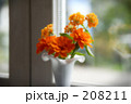 窓辺の花