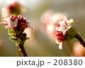 薫るかんざし