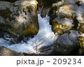 209234