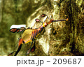 タツノオトシゴ