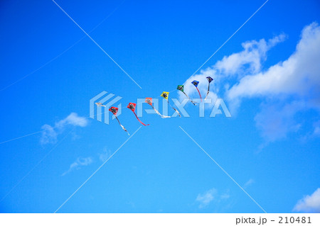 「連凧と青空」の写真素材 「連凧と青空」の写真素材