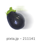 211141