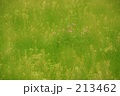213462