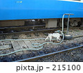 フアランポーン駅の猫