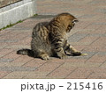 素材ナンバー 215416 : 「無題」