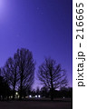 月の夜２