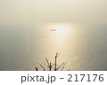春の海