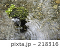わき水