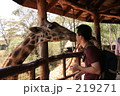 キリンとキス