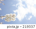 素材ナンバー 219337 : 「無題」