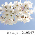 素材ナンバー 219347 : 「無題」