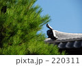 220311