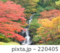紅葉と滝