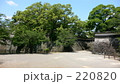 熊本城