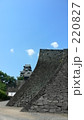 熊本城