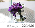 素材ナンバー 221480 : 「花」
