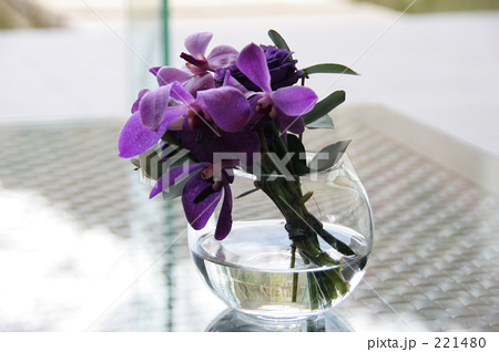 花 花