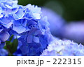 222315