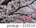 223519