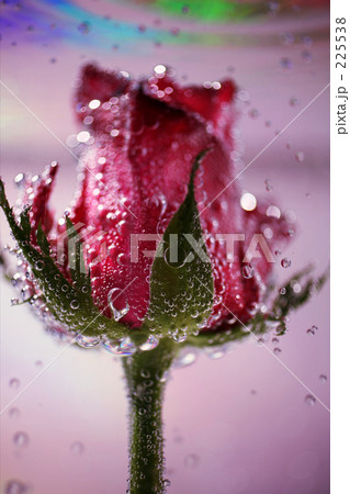水中花