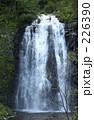 226390