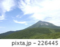 226445