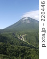 226446