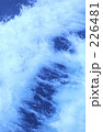 226481