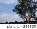 ツリーハウス