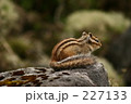 ねむい