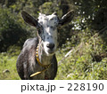 なになに？