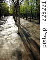 228221