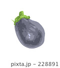228891