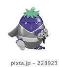 228923
