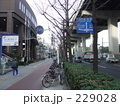 大阪市の歩道