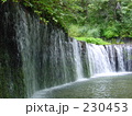 新緑の白糸の滝