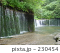 新緑の白糸の滝