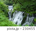新緑の白糸の滝